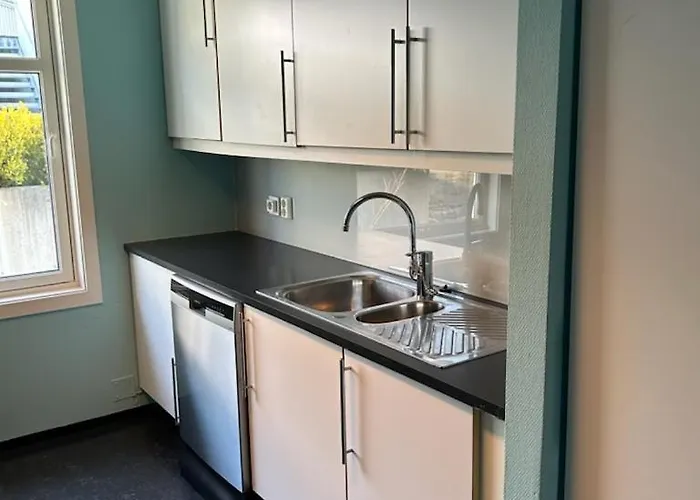 招待所 Housing Kongsgata 斯塔万格